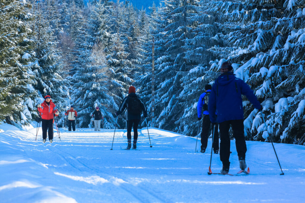 12843680584 a7d9fa921f k