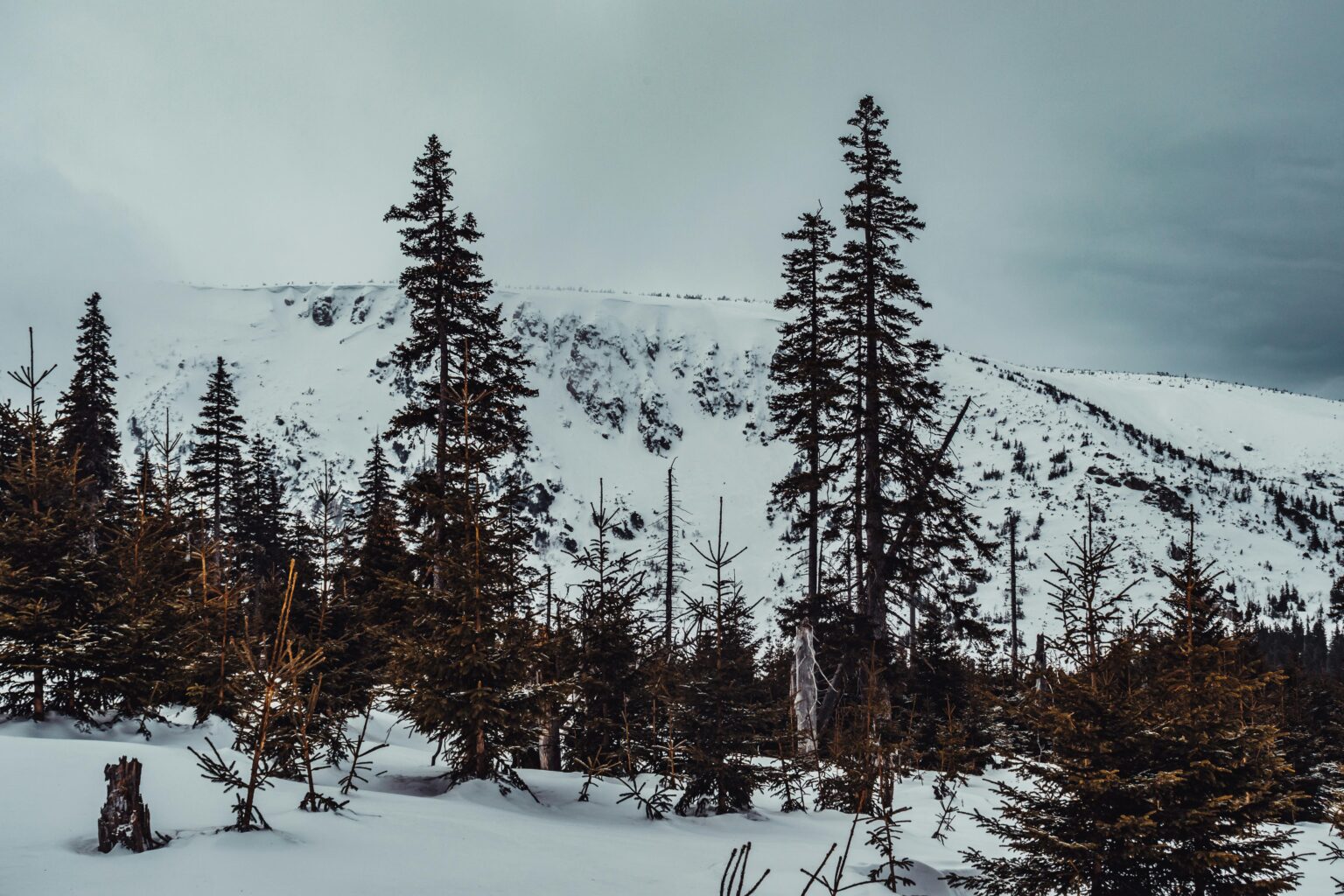 karkonosze winter time