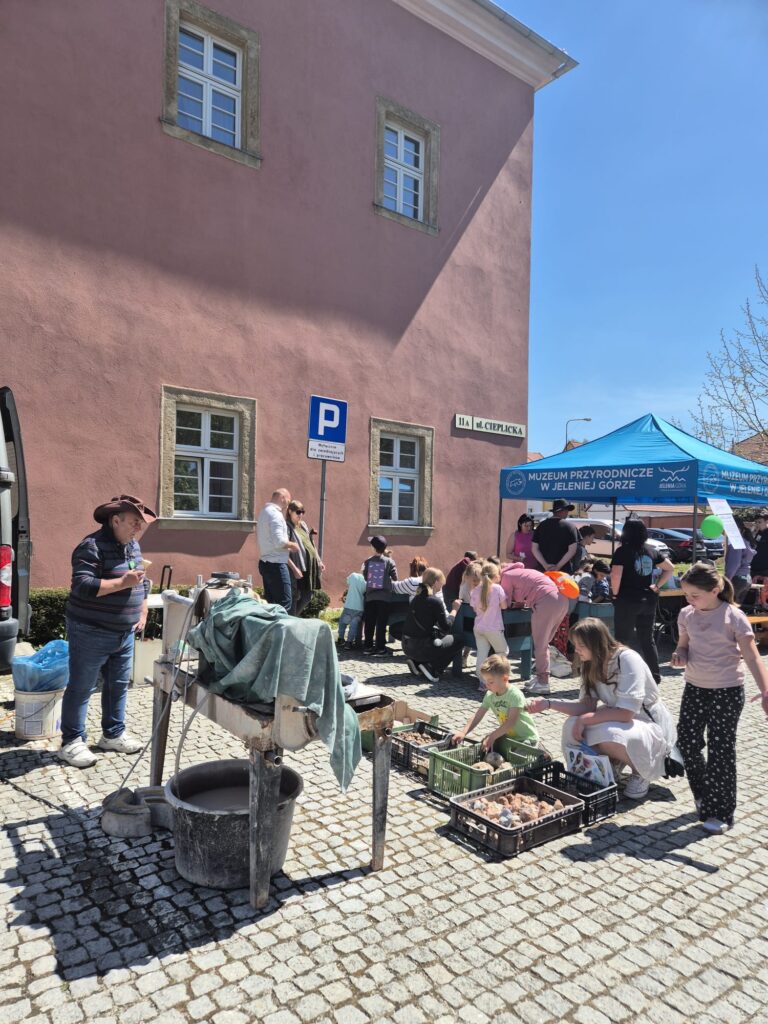 💎 Karkonoska Mineral Fair in Cieplice – A Unique Event in the Heart of the Karkonosze Region jelenie mineral fair
